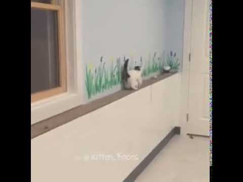 Циркачи, каскадеры! смотреть онлайн