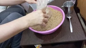 Выращивание грибов (Опята) в домашних условиях! Мой пе?