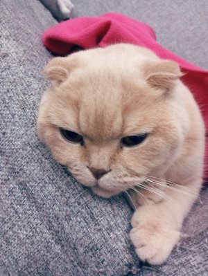 у нас еще один эфир! ребята скорее заходите ко мне