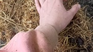 15,16 мая 2025г.Закончила горку.Покос продолжается.