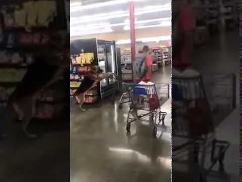 Пес совершает покупки, не пропустите! смотреть онлайн