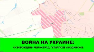 28.12 Война на Украине: Освобождены Гуляйполе, Мирноград, Родинское и Степногорск.
