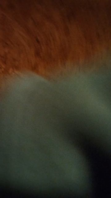 Влог часть 5 финальная