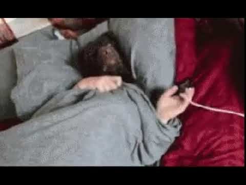 Удивительно! Посмотрите! смотреть онлайн