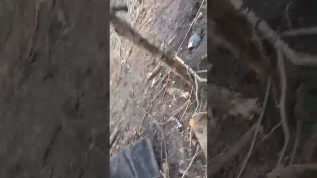 О наших ребятах на СВО/ Ангел тихо прошептал/ Санбригада. смотреть онлайн