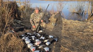 ЛУЧШАЯ ОХОТА НА СЕВЕРНУЮ УТКУ. СТВОЛЫ НЕ УСПЕВАЛИ ОСТЫВАТЬ. ОХОТА С НАПАРНИКОМ НА СЕВЕРЕ.