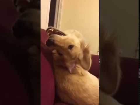 Невероятные способности! смотреть онлайн