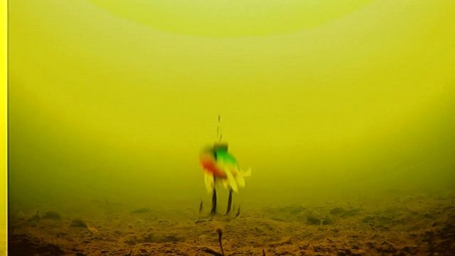 Силиконовый слаг подольдом