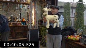 Меню на Новый 2026 год ❄️🎄3 Варианта Кляра для Отбивных, что Вкуснее Свинья или Индюшка?