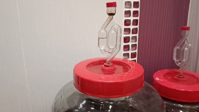 Брожение вина уже закончилось или нет? Как понять? смотреть онлайн