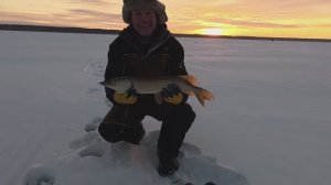 Сугояк 27.12.2025. Не пусто, но и не густо.