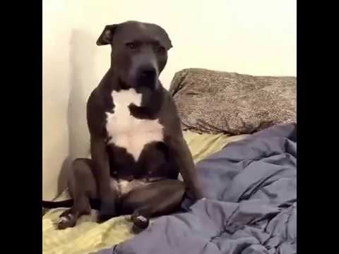 Кода всю ночь писал конспекты... смотреть онлайн