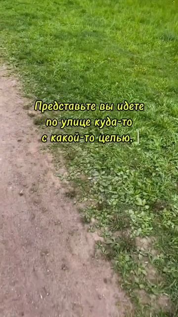 Что с вашими мыслями? #цитаты #трансерфингреальности #мышление #мотивация #саморазвитие