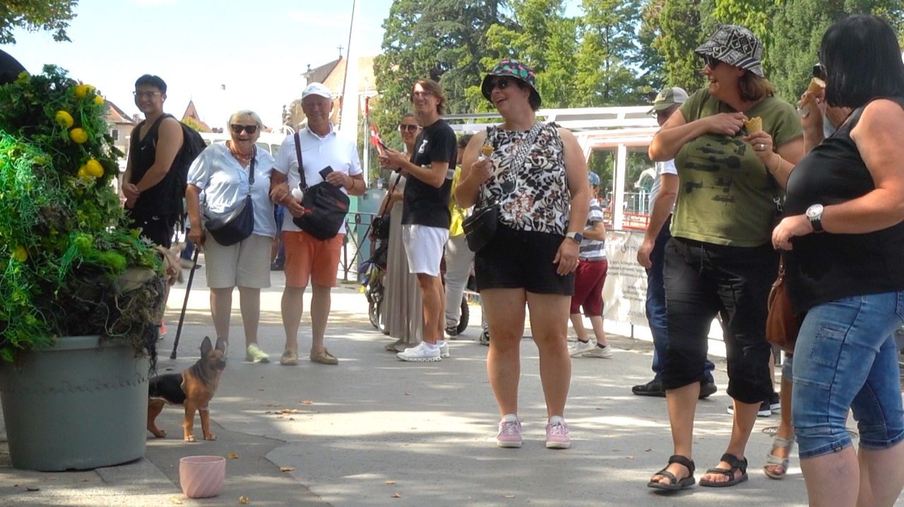 РОЗЫГРЫШ БУШМЕНА (СПЕЦИАЛЬНЫЙ РОЖДЕСТВЕНСКИЙ ВЫПУСК 2025 ГОДА) ТАКОЙ ЗАБАВНЫЙ смотреть онлайн