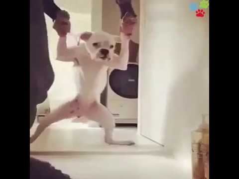 Не хочу идти в школу... смотреть онлайн