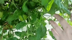 10,11 ноября 2025г.Строю дом. Два дня для души)