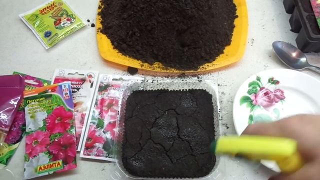 ПЕТУНИЯ. ПОСЕВ ПРОСТЫХ СЕМЯН МЕТОДОМ "ПОСОЛА". 2022 год смотреть онлайн