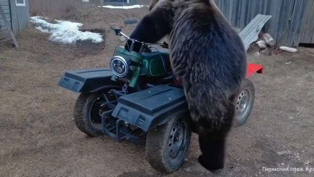 угон квадроцикла смотреть онлайн