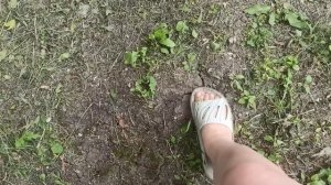 25,26 июня 2025г. Побег из курятника. Собрала и установила арку.