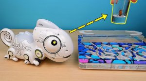 Робот Хамелеон Silverlit и Муравьи Феллахи против Таракана! alex boyko