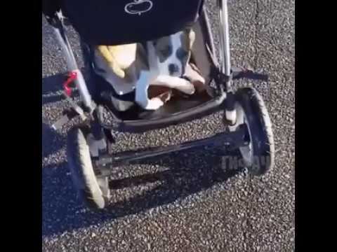 Хорошо устроился! смотреть онлайн