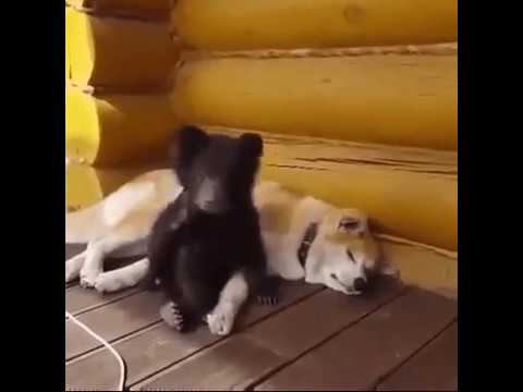 Мило смотреть онлайн