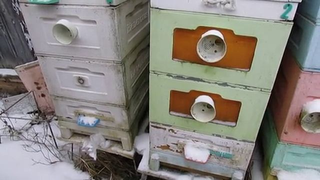 работа на пасеке в декабре, про летки в магазинах , нужны или нет , 25.12.2025 смотреть онлайн