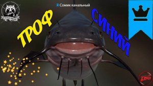 СОМИК КАНАЛЬНЫЙ СИНИЙ ТРОФ - ЛОСИНОЕ ⭐ РУССКАЯ РЫБАЛКА 4 |  RUSSIAN FISHING 4@Z-B-G