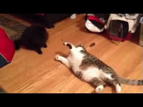 Это моя парта! смотреть онлайн