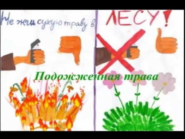 Берегите лес смотреть онлайн