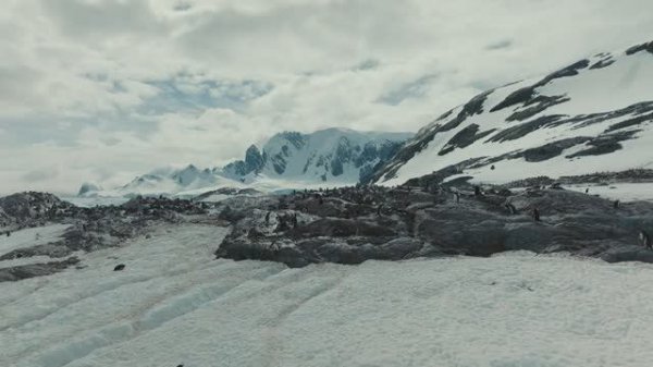 Перезалив Антарктида. Где человек лишь гость. Материал Ильи Воскресенского