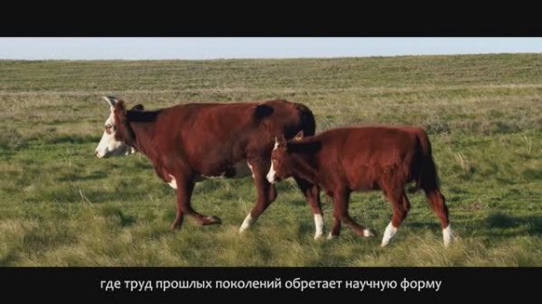 Ваш генетический капитал: как перестать считать овец и начать считать прибыль