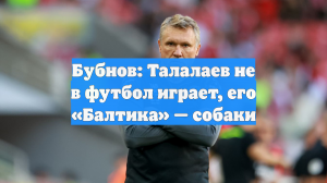 Бубнов: Талалаев не в футбол играет, его «Балтика» — собаки