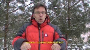 Привет с 2014 года! DEAF MURATOFF поздравляет с Новым 2014 годом Лошади!