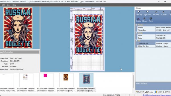 AcroRIP (DTG) РИП теперь можно использовать на наших принтерах PrintX c головами XP600