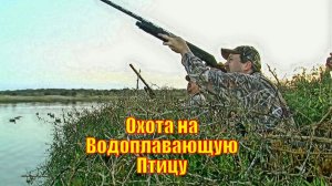 Нереальная Охота на Водоплавающую Птицу в Мексиканской Лагуне Мадре