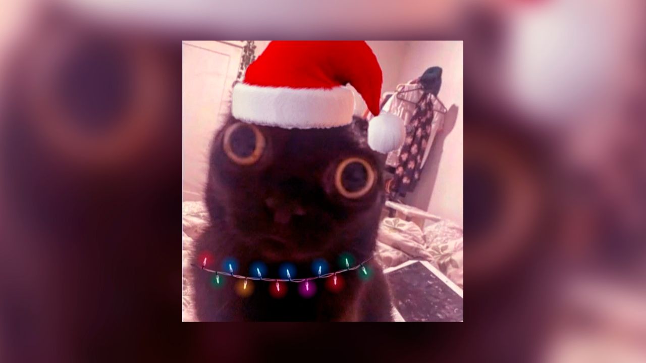 ☆плейлист популярных новогодних песен из тик тока 2025 года☆ смотреть онлайн