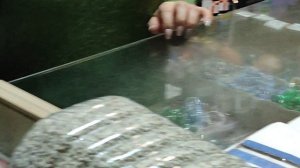 27.12.2025г Москва Садовод, Сборная ч.4