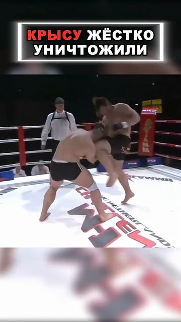 🔥ПОЛЯК ЗАПЛАТИЛ ЗДОРОВЬЕМ🔥 смотреть онлайн