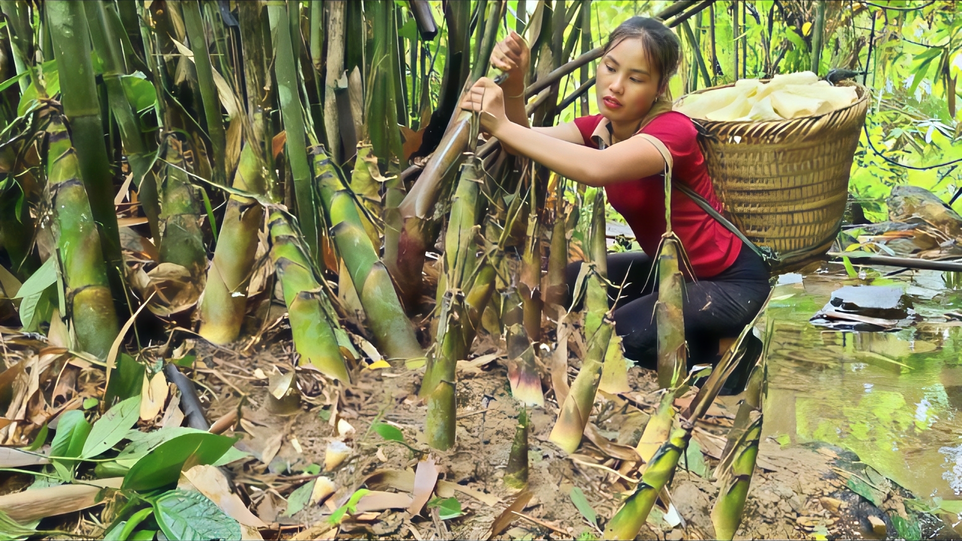 Собираю бамбук, обрабатываю его и везу на рынок для продажи. Дуонг смотреть онлайн