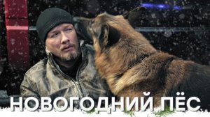 Новогодний Пёс ...филм ...