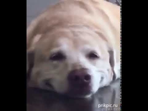 Улыбнитесь! смотреть онлайн