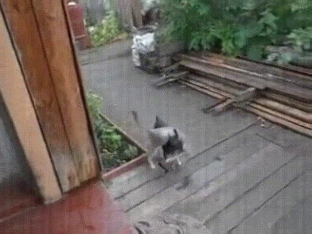 Спасение утопающего:) смотреть онлайн