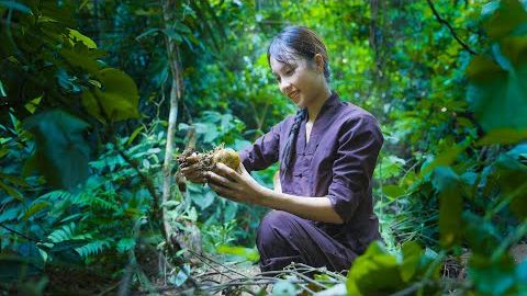 Как прокормить семью в сезон дождей. смотреть онлайн