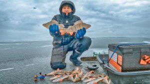 НАШЕЛ ЛЁД БЕЗ ЛУНОК!!! КРУПНЫЙ ВОЛЖСКИЙ ОКУНЬ НА БАЛАНСИР! Зимняя рыбалка 2025-2026.