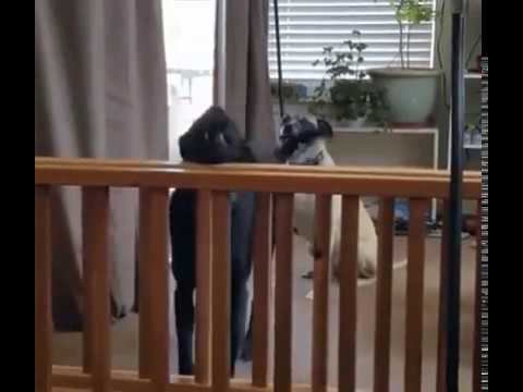 Танцуй как я! смотреть онлайн