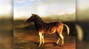 15 Красивых ЖИВОТНЫХ вымерших из-за человека