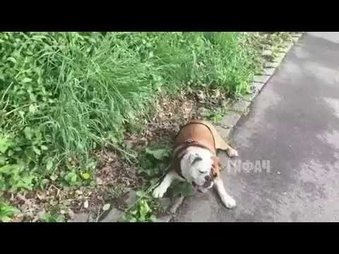 Как я тут оказался? Надо повторить! смотреть онлайн