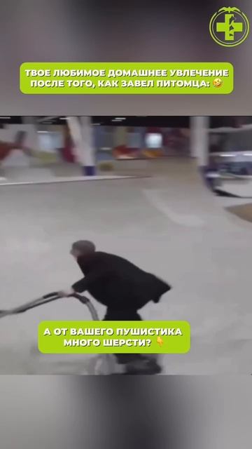 Шерсть это приправа смотреть онлайн