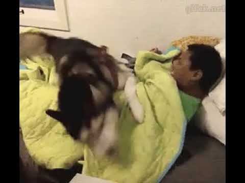 Домашний доктор смотреть онлайн